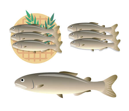 Sweetfish Fish Ingredientsのイラスト素材