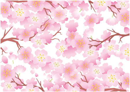 Cherry blossom spring petal backgroundのイラスト素材