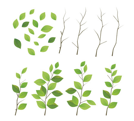 Summer freshのイラスト素材