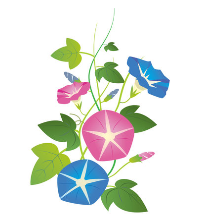 Cool Japanese-style material in summerのイラスト素材