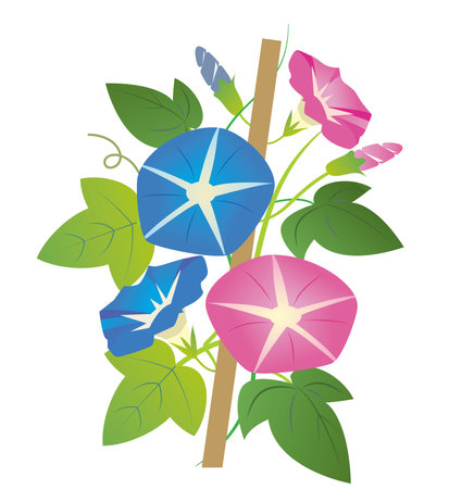 Cool Japanese-style material in summerのイラスト素材