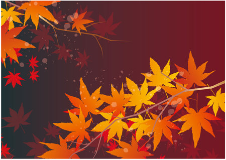 Autumn leaves background, vector illustration, eps10, contains transparencies.のイラスト素材