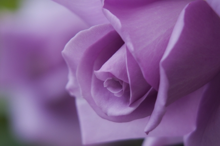 bluemoonの写真素材