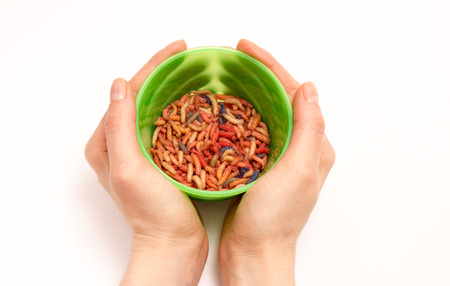 Woman holding a box of worms fishing lure isolated on whiteの写真素材