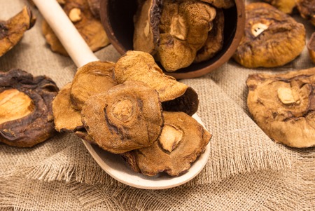 Dried mushrooms on canvas close upの写真素材