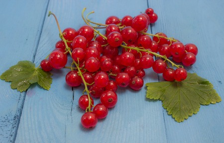 fresh red and white currants on a blue board closeup