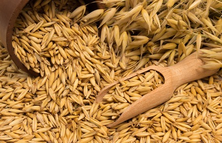 diet supplements oat grain close up