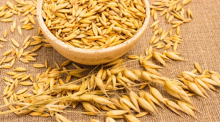 Close up on grain oats on canvas