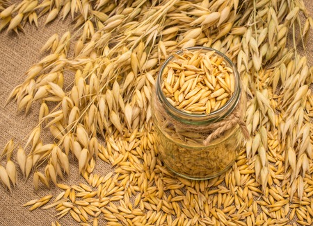 diet supplements oat grain on canvas closeup