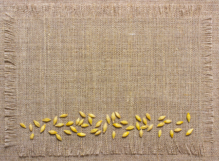 background texture of the canvas, with ears of grainの写真素材