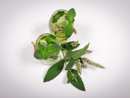 Water with fresh lemon, green leaves mint and cucumber