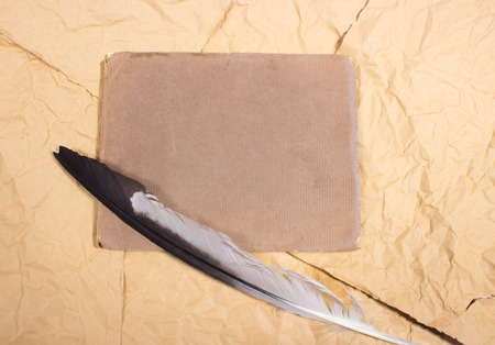 Bird pen on paper background with space for inscription.の写真素材