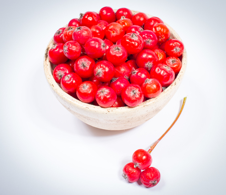 Closeup of fresh hawthorn fruit isolated on white background.の写真素材