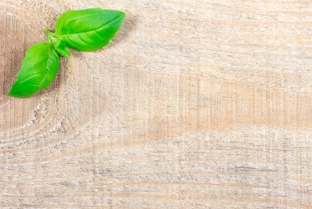 Green fresh basil on wooden background. Place for inscription.