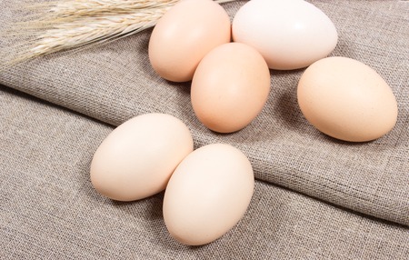 Closeup of eggs on the background of the canvas.