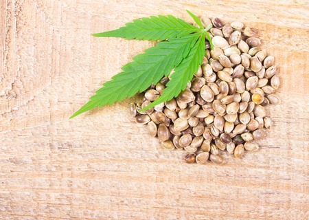Close up - cannabis leaf and seeds on wooden table.の写真素材