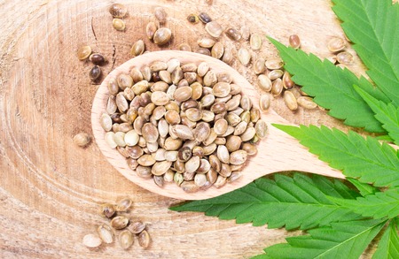 Close up - cannabis leaf and seeds on wooden table.の写真素材