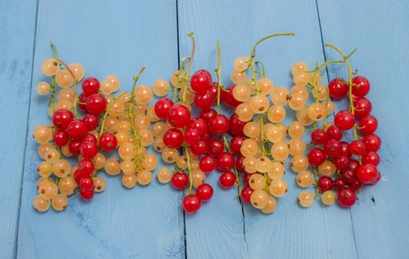 fresh red and white currants on a blue board closeupの写真素材