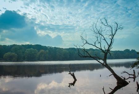 Poland - autumn colours with trees by the lake.の写真素材