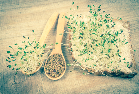 The healthy diet. CloseUp alfalfa seeds and sprouts.の写真素材