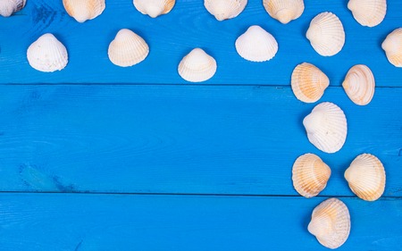 Background with shells on the blue table. Space for the inscription.の写真素材