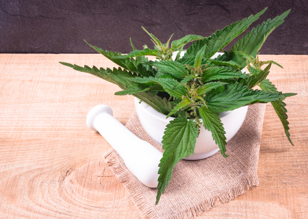 Fresh nettle on a wooden table. Concept of herbal medicine.の写真素材