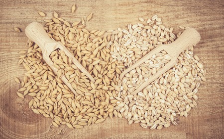 Barley seed or barley grains and pearl barley - CloseUp.の写真素材