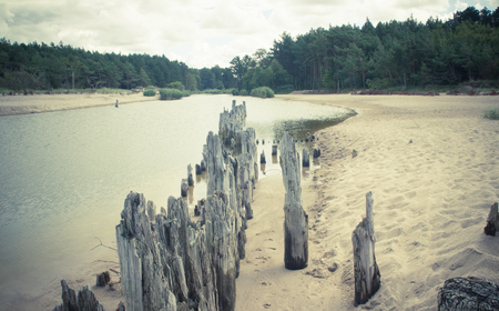 Beach, view of the sea on a sunny day. Baltic sea landscape.の写真素材