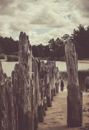Beach, view of the sea on a sunny day. Baltic sea landscape.の写真素材