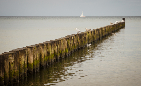 Baltic Sea - landscape by the sea. Sea waves.の写真素材