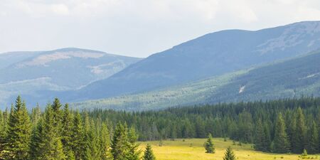 General view of the Polish Karkonosze Mountains. Mountains, trails and vegetation.の写真素材