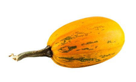 Isolated image of a pumpkin against a white backgroundの写真素材
