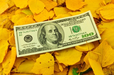 one hundred dollar banknotes on autumn leavesの写真素材