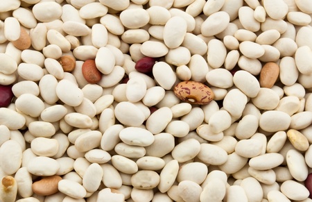 white beans close up background, haricotの写真素材