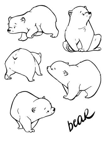 Hand drawing cute bear. Cartoon character of big mammal animalのイラスト素材