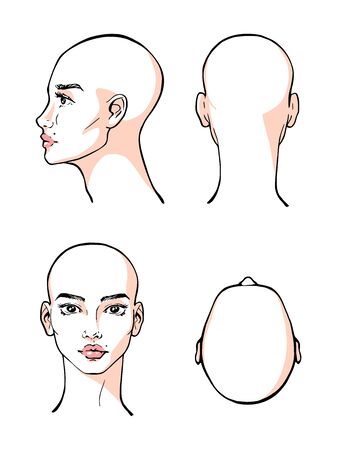 Beautiful woman face vector, illustration, contour, designのイラスト素材