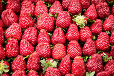 Isolated fresh Strawberries background from the marketの写真素材