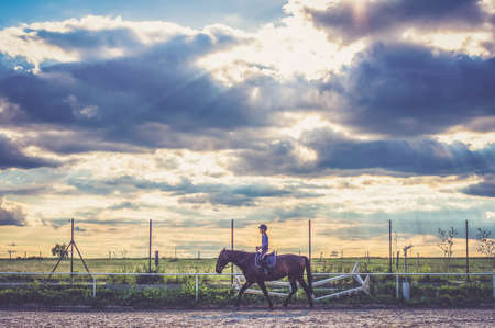 Young girl riding brown horse slowly, stunning clouds with sun rays in background. Toned imageの写真素材