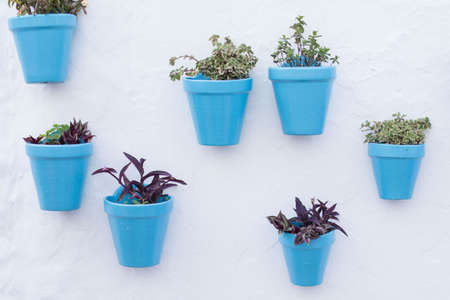 Blue flowerpots on a white wall in an andalusian old town Mijasの写真素材