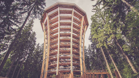 Big wooden lookout tower in modern design, in the forest. Toned pictureの写真素材