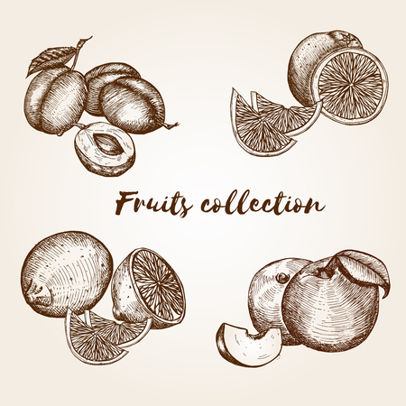 Hand drawn fruits collectionのイラスト素材