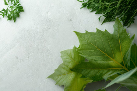 A close-up overhead view of various fresh green herbs and leaves arranged on a light, textured background with ample negative space.の写真素材