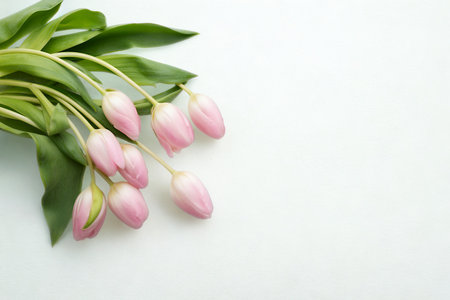 A cluster of unopened pink tulip buds and lush green leaves are arranged on a clean white surface, creating a minimalist and elegant composition.の写真素材