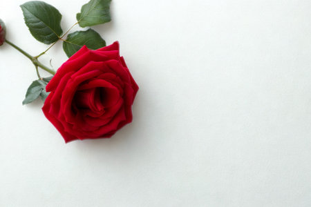 A vibrant red rose with delicate green leaves lies on a clean white surface, creating a simple and elegant composition.の写真素材