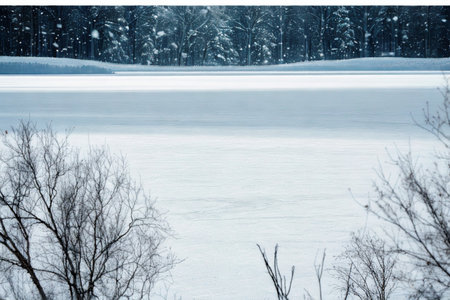 A tranquil winter scene featuring a vast frozen lake, snow-laden trees in the foreground, and a dark forest in the background.の写真素材