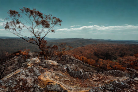 A solitary tree stands on a rugged, rocky summit, surveying a sprawling, forested vista under a cloudy sky.の写真素材