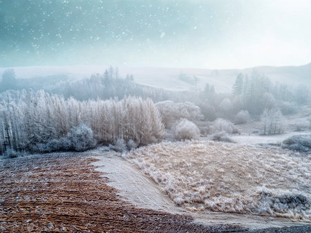 An aerial view of a winter forest with snow-covered trees.の写真素材