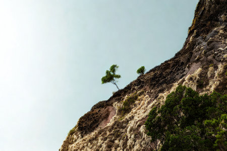 A close-up, low-angle view of a textured cliff with small green plants clinging to its surface under a bright, pale sky.の写真素材