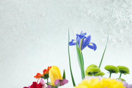 A close-up of a bouquet of colorful spring flowers, featuring a prominent blue iris against a soft, textured background.の写真素材
