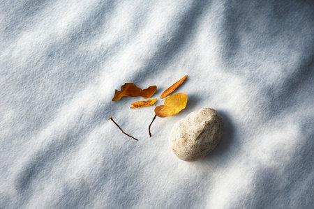 A single dried autumn leaf and a small, light-colored pebble lie on a soft, textured white surface, suggesting a natural, minimalist composition.の写真素材